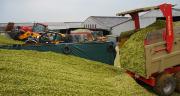 Les chantiers d'ensilage se sont déroulés dans de bonnes conditions, et les rendements en maïs fourrage sont supérieurs de 1 à 2 t/ha par rapport à la normale, voire 3 tonnes. © M. Lecourtier/Pixel image
