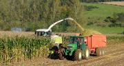 Les ensilages devraient débuter avant le 15 août. © Photoagriculture/AdobeStock Les ensilages devraient débuter avant le 15 août. © Photoagriculture/AdobeStock