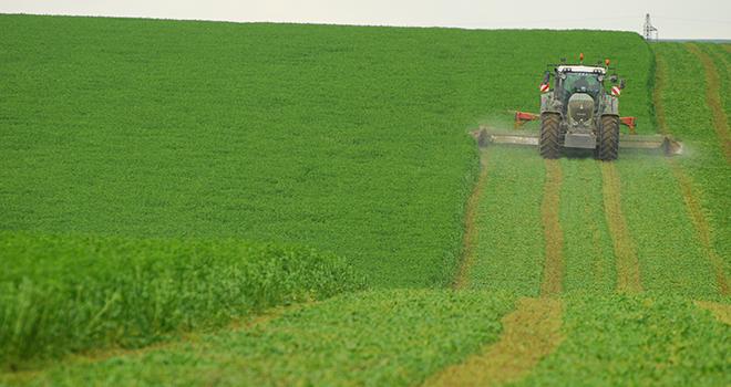 Le début de bourgeonnement est le stade végétatif optimal pour récolter la luzerne. 