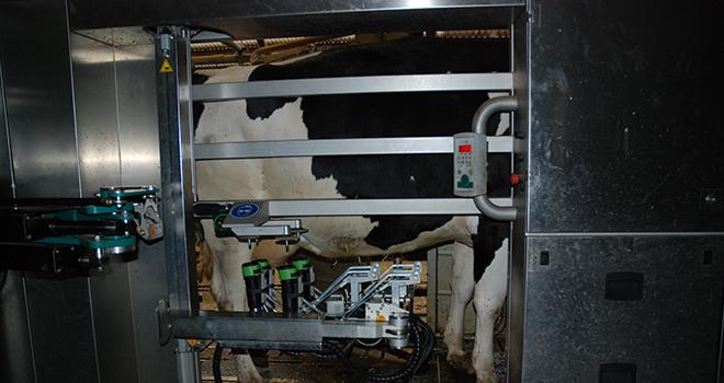 La mise en place d'un robot de traite modifie la stratégie d'alimentation. Attention à ne pas trop augmenter la quantité de concentrés. Photo : N. Tiers/Pixel Image La mise en place d'un robot de traite modifie la stratégie d'alimentation. Attention à ne pas trop augmenter la quantité de concentrés.