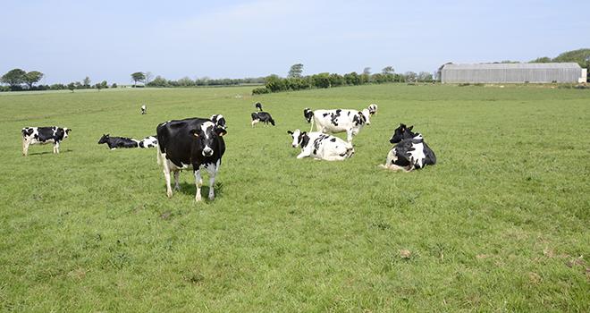 Carl et Arnaud Guilbert ont commencé leur conversion en bio en 2009 avec Danone. CP : A.Cotens/Pixel Image