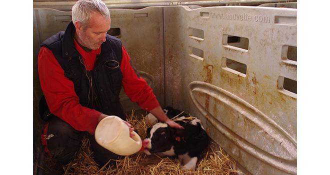 Le colostrum de conservation peut servir à compléter un colostrum frais. ©Pixel6TM