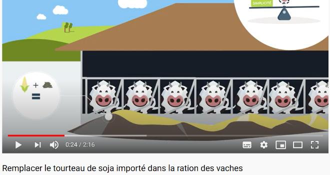 À partir du mardi 14 avril, retrouvez une vidéo par semaine sur la page YouTube de Protecow ! À partir du mardi 14 avril, retrouvez une vidéo par semaine sur la page YouTube de Protecow !