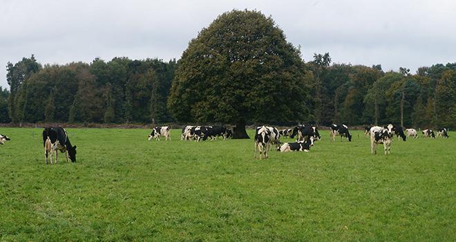 « Exploiter au mieux la croissance de l’herbe au printemps ». ©Vincent Hesry