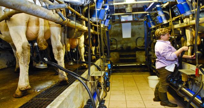 Le Cniel va mettre en place, pour le mois d’avril, un fonds de solidarité exceptionnel de dix millions d’euros. CP : C.Helsy/Cniel