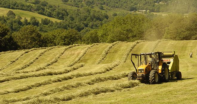 Les foins ont commencé dans une bonne partie de la France. ©AdobeStock/MB Les foins ont commencé dans une bonne partie de la France. ©AdobeStock/MB