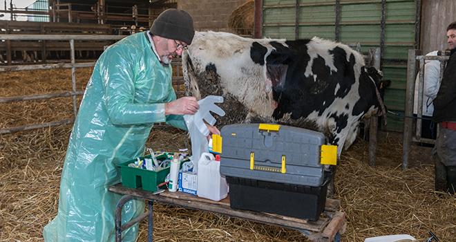 Dans le cadre de l’appel à manifestation d’intérêt, six territoires volontaires bénéficieront d’un diagnostic de leur situation (offre vétérinaire, demande des élevages. © Antoine-photographe/Adobe stock Dans le cadre de l’appel à manifestation d’intérêt, six territoires volontaires bénéficieront d’un diagnostic de leur situation (offre vétérinaire, demande des élevages. © Antoine-photographe/Adobe stock
