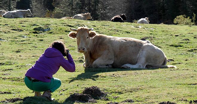 Les clichés représentant le bien-être animal sont à envoyer jusqu'au 15 juin. ©Philipimage/AdobeStock