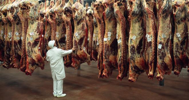 Le 6 août 2020, est paru un arrêté homologuant le nouveau cahier des charges pour le label Rouge gros bovins. Le terme « étourdissement » a finalement bien été conservé. CP : Bertrand photos/Adobe Stock Le 6 août 2020, est paru un arrêté homologuant le nouveau cahier des charges pour le label Rouge gros bovins. Le terme « étourdissement » a finalement bien été conservé. CP : Bertrand photos/Adobe Stock