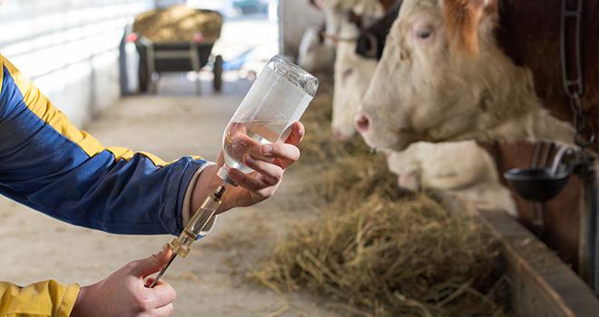 Le projet cofinancé par l’Union européenne vise à proposer des solutions concrètes pour lutter contre l’indisponibilité de certains antibiotiques en France et éviter les pollutions environnementales lors de leur production. © Budimir Jevtic/Adobestock