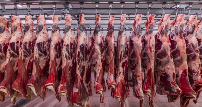 Un étiquetage pour informer les consommateurs sur les conditions d’abattage. CP : mehmet/Adobe Stock Un étiquetage pour informer les consommateurs sur les conditions d’abattage. CP : mehmet/Adobe Stock