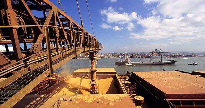 Agrial et Lidl s’engagent pour du soja responsable. © Pulsar Imagens/Adobe Stock Agrial et Lidl s’engagent pour du soja responsable. © Pulsar Imagens/Adobe Stock