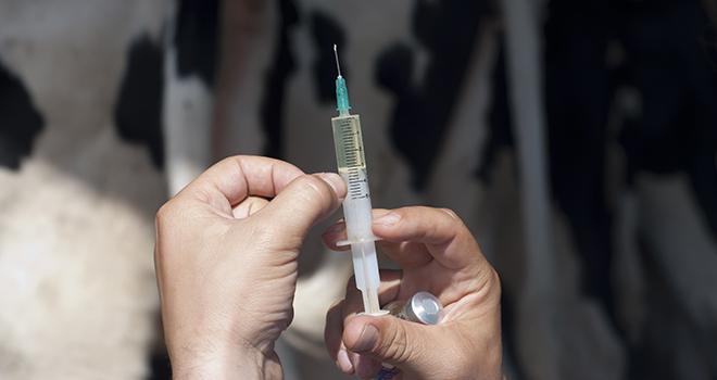 Si l’exposition des bovins aux antibiotiques a reculé de 22,5% depuis 2011, cette diminution semble avoir atteint une limite ces dernières années. Entre 2019 et 2020, l’exposition des bovins aux antibiotiques a légèrement augmenté (+2,9%). © Ellisia/Adobe Stock Si l’exposition des bovins aux antibiotiques a reculé de 22,5% depuis 2011, cette diminution semble avoir atteint une limite ces dernières années. Entre 2019 et 2020, l’exposition des bovins aux antibiotiques a légèrement augmenté (+2,9%). © Ellisia/Adobe Stock