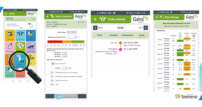 GéniSS : une application pour optimiser l’atelier génisses laitière. ©DR