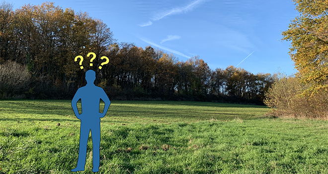 Gel, sécheresse : comment l’herbe pousse-t-elle chez vous ? © C.Lamy-Grandidier/Pixel6TM Gel, sécheresse : comment l’herbe pousse-t-elle chez vous ? © C.Lamy-Grandidier/Pixel6TM