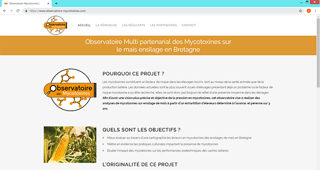 Après le lancement de l’Observatoire sur les mycotoxines dans le maïs ensilage en Bretagne, les premiers résultats des analyses effectuées dans 200 élevages sont désormais accessibles. Après le lancement de l’Observatoire sur les mycotoxines dans le maïs ensilage en Bretagne, les premiers résultats des analyses effectuées dans 200 élevages sont désormais accessibles.