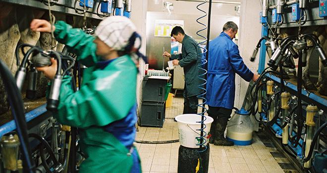 En 2018, l’érosion de l’effectif des élevages ayant fourni des résultats de lactations s’est poursuivie : -5,2% par rapport à 2017. Photo : L. Gueneau/CNIEL En 2018, l’érosion de l’effectif des élevages ayant fourni des résultats de lactations s’est poursuivie : -5,2% par rapport à 2017. Photo : L. Gueneau/CNIEL