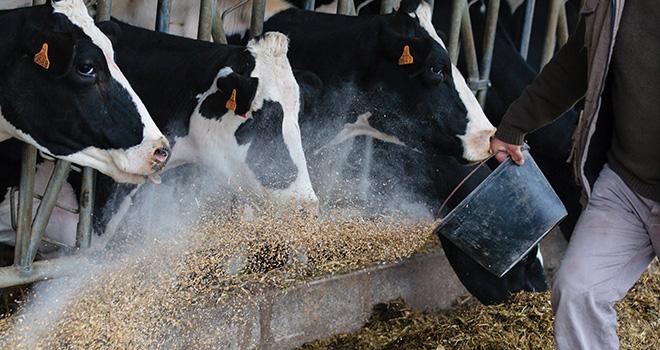 Moins de concentrés dans la ration, oui mais comment ? © L.Page / Cniel Moins de concentrés dans la ration, oui mais comment ? © L.Page / Cniel