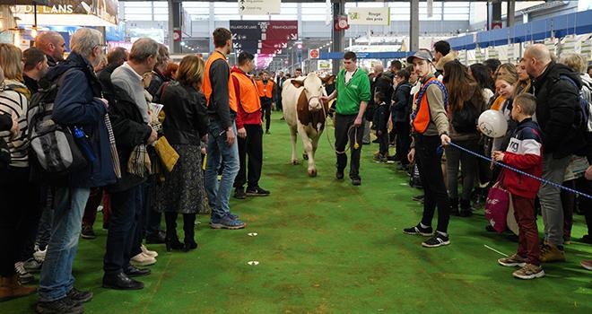 Le Concours général agricole a décerné 1235 prix pour le concours des animaux. © Patrick Parchet