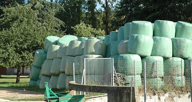 L'enrubannage a permis d'apporter de la souplesse à l'éleveur pour l'alimentation du troupeau. Photo: H. Sauvage L'enrubannage a permis d'apporter de la souplesse à l'éleveur pour l'alimentation du troupeau.