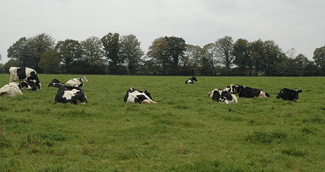 Le principal poste d’émissions de GES à l’échelle de l’exploitation est la fermentation entérique (56 %). ©DR Le principal poste d’émissions de GES à l’échelle de l’exploitation est la fermentation entérique (56 %). ©DR