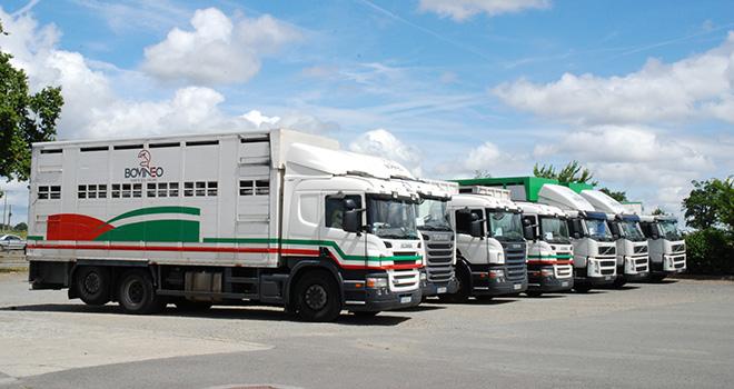 La création de Bovinéo a permis de réduire de 15% le nombre de kilomètres effectués par les camions de ramassage. Photo: Nathalie Tiers La création de Bovinéo a permis de réduire de 15% le nombre de kilomètres effectués par les camions de ramassage.