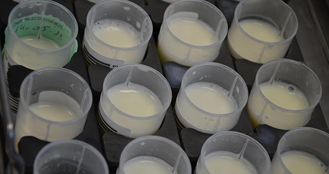 Les nouvelles analyses d’urée et de lactose sont réalisées à partir de l’échantillon de lait prélevé par l’agent de pesée. Photo : Eilyps Les nouvelles analyses d’urée et de lactose sont réalisées à partir de l’échantillon de lait prélevé par l’agent de pesée.