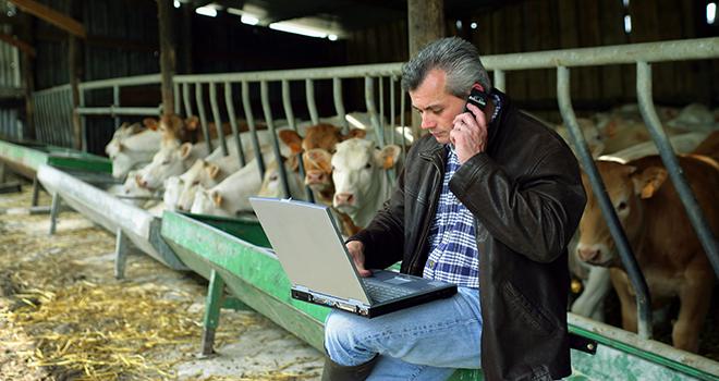 JB-Box permet de simuler les performances de croissance des jeunes bovins selon le régime d'engraissement. Crédit photo : auremar - Fotolia JB-Box permet de simuler les performances de croissance des jeunes bovins selon le régime d'engraissement. Crédit photo : auremar - Fotolia
