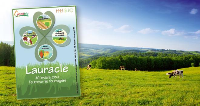 L’Institut de l’élevage et différents partenaires ont mis au point Lauracle, un jeu-outil pour échanger autour des leviers d’amélioration de l’autonomie alimentaire. © Swetlana Wall/Adobe Stock