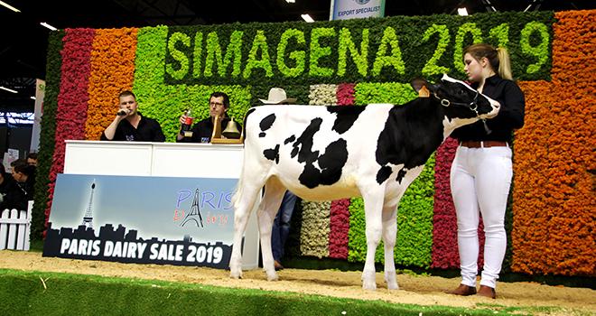 La génisse Gah Olga des Grilles, fille de Boldi V Gymnast a été vendue 130 000 euros. ©DR La génisse Gah Olga des Grilles, fille de Boldi V Gymnast a été vendue 130 000 euros.