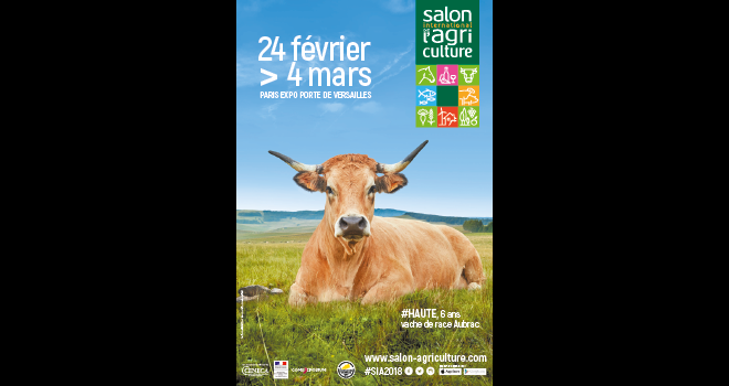 Haute, une vache aubrac de l’élevage de Thibault Dijols est l’égérie du prochain SIA. Photo : DR