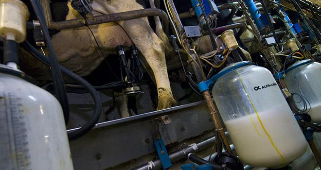 Les demandes de réduction de la production en France correspondent à plus de 180 000 tonnes de lait. Photo : DR Les demandes de réduction de la production en France correspondent à plus de 180 000 tonnes de lait. Photo : DR