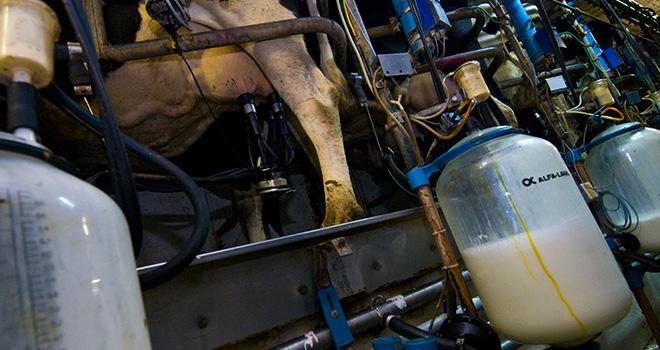 En août 2020, malgré sa hausse saisonnière, le prix standard du lait conventionnel, à 332,6 €/1 000 l, reste inférieur de 11,4 €/1 000 l au prix d’août 2019. ©C. Helsly/CNIEL En août 2020, malgré sa hausse saisonnière, le prix standard du lait conventionnel, à 332,6 €/1 000 l, reste inférieur de 11,4 €/1 000 l au prix d’août 2019. ©C. Helsly/CNIEL