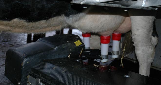 Le prix du lait standard a reculé de 6 euros/1000 l en 2020. H.Flamant/Terroir Est Le prix du lait standard a reculé de 6 euros/1000 l en 2020. H.Flamant/Terroir Est.