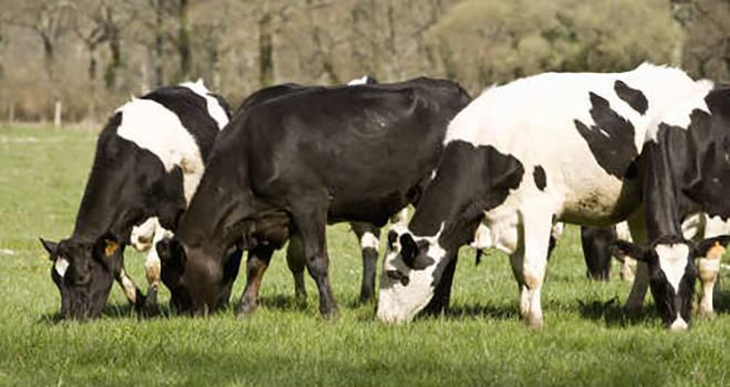 En 2017, le prix moyen du lait payé aux associés coopérateurs, toutes qualités et toutes primes comprises, est supérieur de 6 euros/1000 litres au prix moyen payé en France, selon Coop de France Métiers du Lait. CNIEL En 2017, le prix moyen du lait payé aux associés coopérateurs, toutes qualités et toutes primes comprises, est supérieur de 6 euros/1000 litres au prix moyen payé en France, selon Coop de France Métiers du Lait. CNIEL