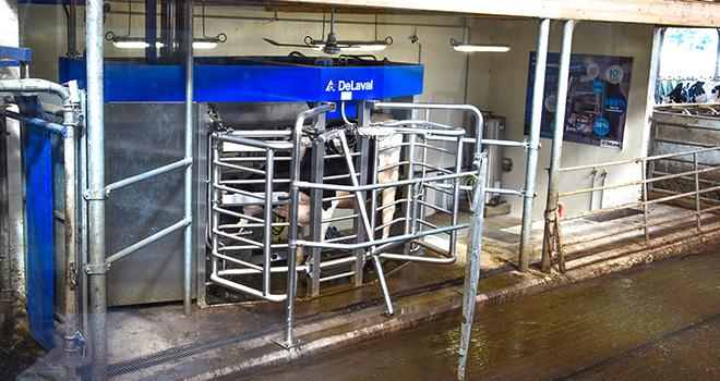 Le DeLaval VMS 300 est en fonctionnement depuis 6 mois au Gaec de la Motte Comté. CP : Gaël Landais